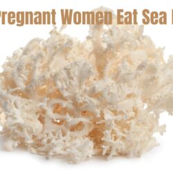 Can Pregnant Women Eat Sea Moss: Safe & Healthy Alternative