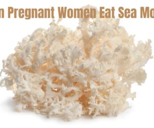 Can Pregnant Women Eat Sea Moss: Safe & Healthy Alternative