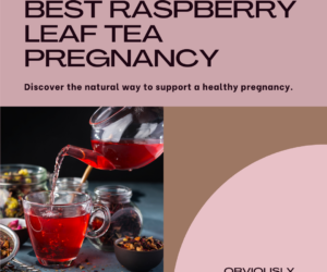 17 Best Raspberry Leaf Tea Pregnancy: Best Buying Guide