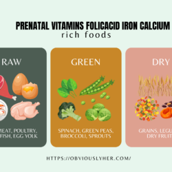 Prenatal Vitamins FolicAcid Iron Calcium: A Comprehensive Guide