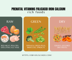 Prenatal Vitamins FolicAcid Iron Calcium: A Comprehensive Guide