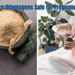 Are Adaptogens Safe for Pregnancy: Your Safety Guide