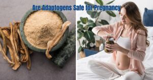 Read more about the article Are Adaptogens Safe for Pregnancy: Your Safety Guide