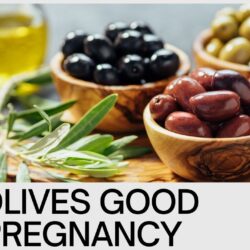 Are Olives Good for Pregnancy: Best Pregnancy Help Guide