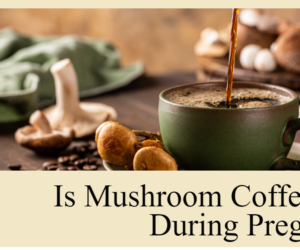 Is Mushroom Coffee Safe During Pregnancy: Your Best Guide