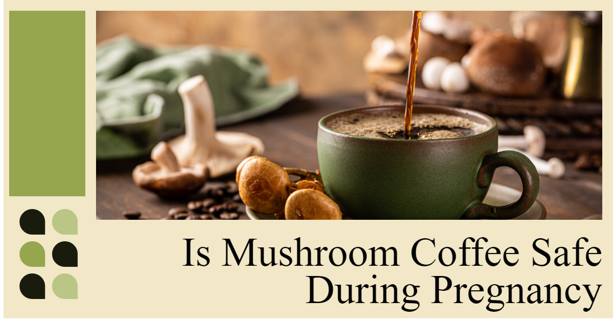 You are currently viewing Is Mushroom Coffee Safe During Pregnancy: Your Best Guide