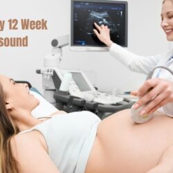 Pregnancy 12 Week Ultrasound: Secrets of Baby’s Development