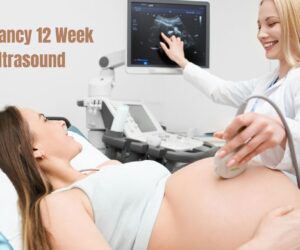 Pregnancy 12 Week Ultrasound: Secrets of Baby’s Development