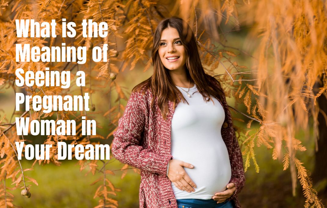 You are currently viewing What is the Meaning of Seeing a Pregnant Woman in Your Dream