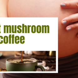 16 Best Mushroom Coffee: Elevate with Our Top Picks