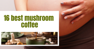 Read more about the article 16 Best Mushroom Coffee: Elevate with Our Top Picks