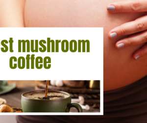 16 Best Mushroom Coffee: Elevate with Our Top Picks