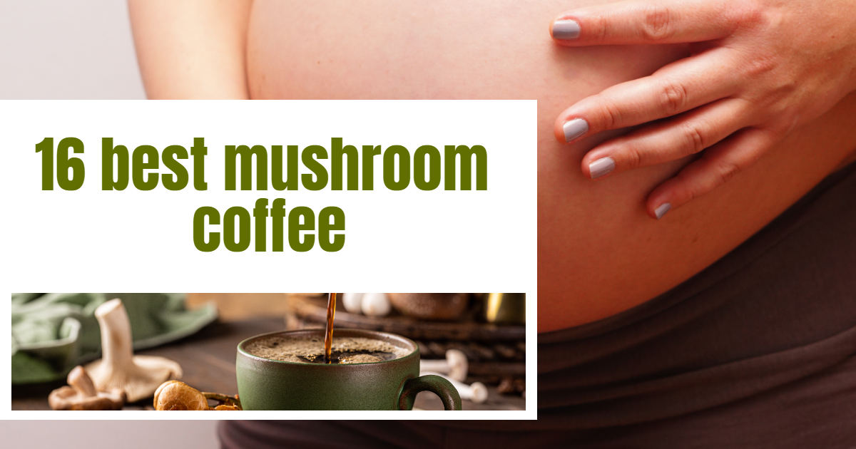 You are currently viewing 16 Best Mushroom Coffee: Elevate with Our Top Picks