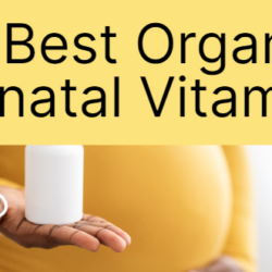 24 Best Organic Prenatal Vitamins: Boost Your Baby’s Health