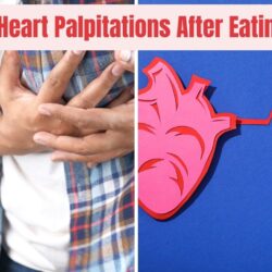 Heart Palpitations After Eating: Causes & Relief Tips