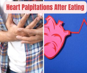 Heart Palpitations After Eating: Causes & Relief Tips