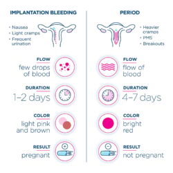 What is Implantation Bleeding? Uncover the Best Guide