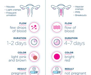 What is Implantation Bleeding? Uncover the Best Guide