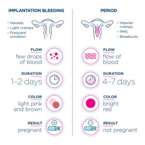 Read more about the article What is Implantation Bleeding? Uncover the Best Guide