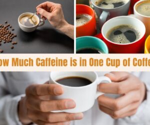 How Much Caffeine is in One Cup of Coffee: Best Vital Facts