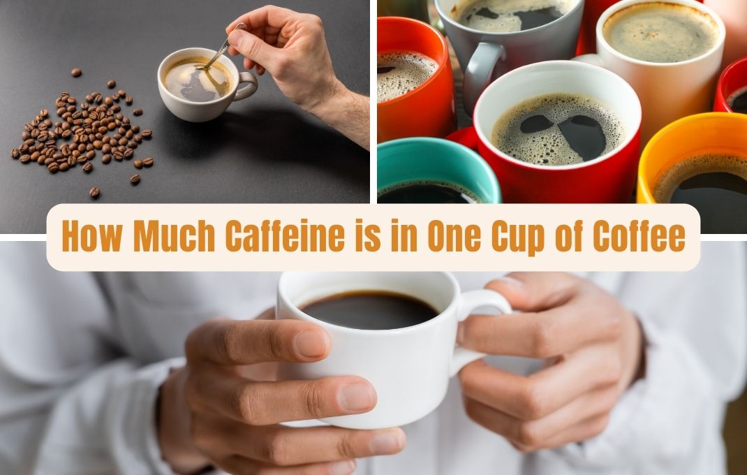 You are currently viewing How Much Caffeine is in One Cup of Coffee: Best Vital Facts