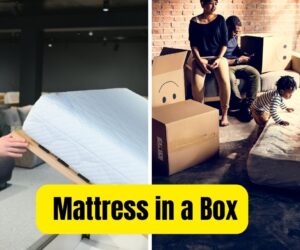 25 Mattress in a Box: Sleep Better with Top-Rated Mattresses