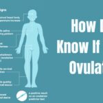 How Do I Know If I'm Ovulating