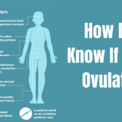 How Do I Know If I’m Ovulating: Best Key Signs Unveiled