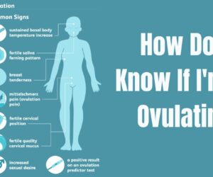 How Do I Know If I’m Ovulating: Best Key Signs Unveiled