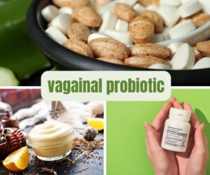 19 Best Vaginal Probiotic: Guide to Choosing the Best Option