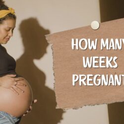 How Many Weeks Pregnant? Best Way Calculate Your Due Date!