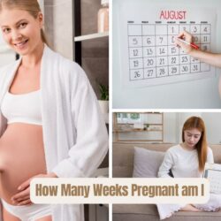 How Many Weeks Pregnant am I: Quick Calculation Best Guide
