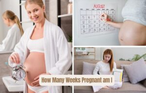 Read more about the article How Many Weeks Pregnant am I: Quick Calculation Best Guide