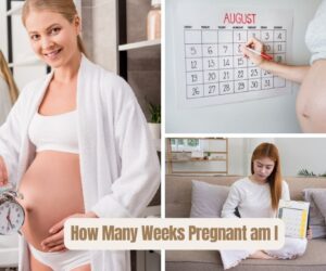 How Many Weeks Pregnant am I: Quick Calculation Best Guide