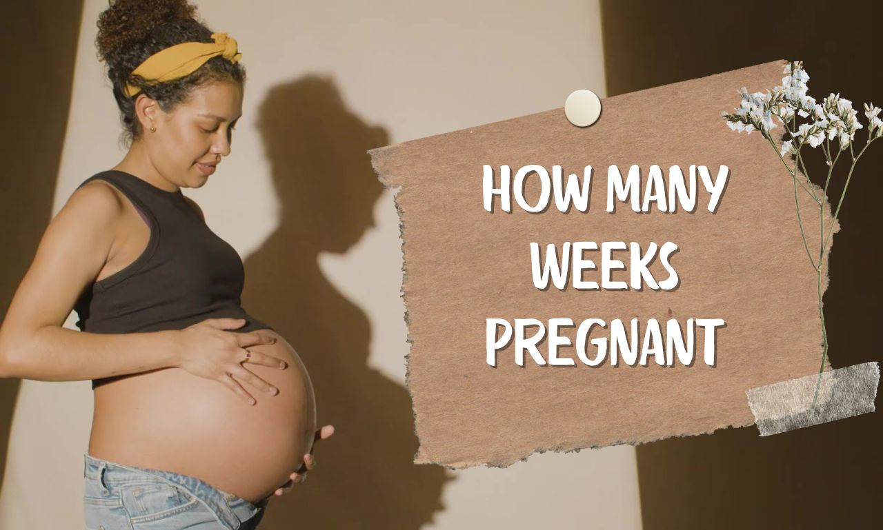 You are currently viewing How Many Weeks Pregnant? Best Way Calculate Your Due Date!