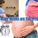 how many weeks are you pregnant