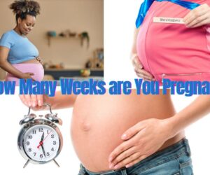 How Many Weeks are You Pregnant? Best way to Calculate Now!