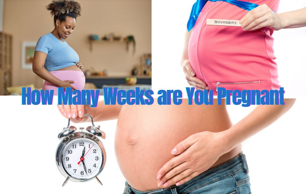 You are currently viewing How Many Weeks are You Pregnant? Best way to Calculate Now!