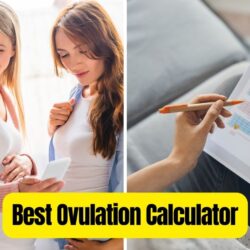 Best Ovulation Calculator: Track Your Cycle Easily!