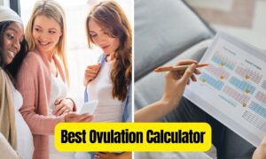 Read more about the article Best Ovulation Calculator: Track Your Cycle Easily!