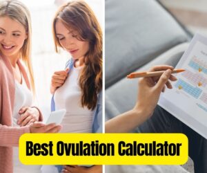 Best Ovulation Calculator: Track Your Cycle Easily!