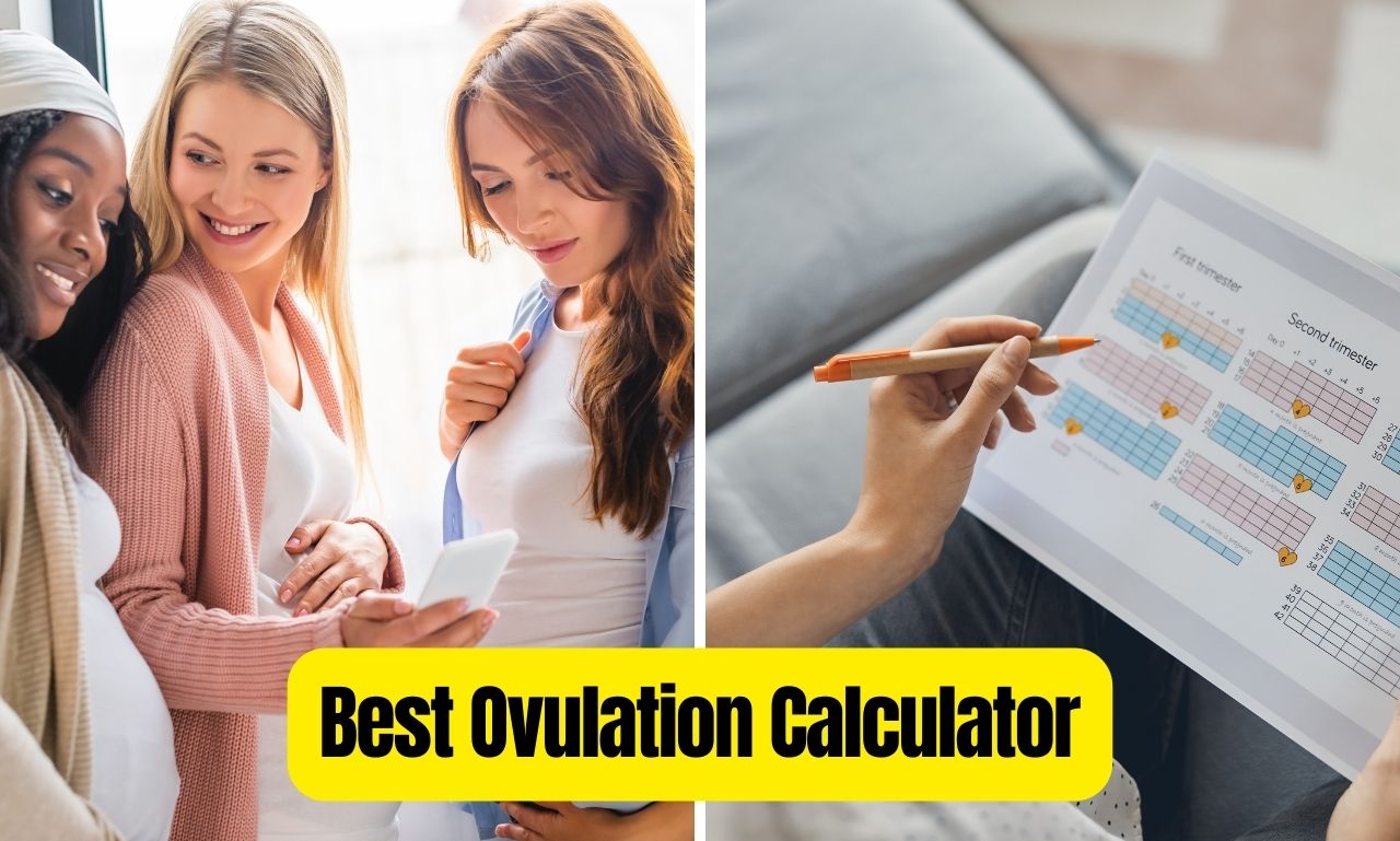 You are currently viewing Best Ovulation Calculator: Track Your Cycle Easily!