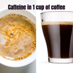 Caffeine in 1 Cup of Coffee: Best Guide Buzz or Bust?