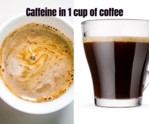 Caffeine in 1 Cup of Coffee: Best Guide Buzz or Bust?