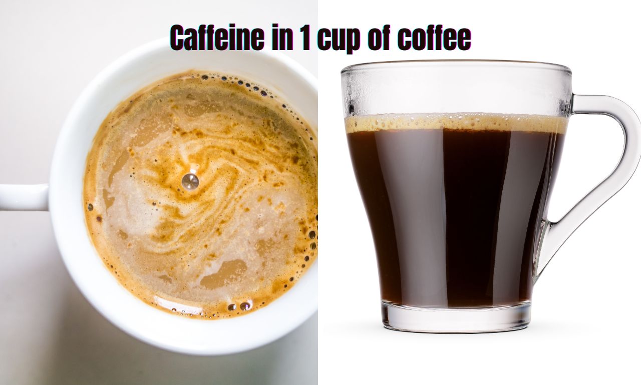 You are currently viewing Caffeine in 1 Cup of Coffee: Best Guide Buzz or Bust?