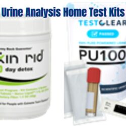 Urine Analysis Home Test Kits: Uncover Best Health Insights