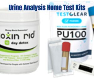 Urine Analysis Home Test Kits: Uncover Best Health Insights