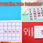 Ovulation Date Calculator