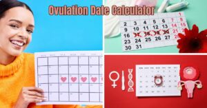 Read more about the article Ovulation Date Calculator: Best Way to Track Fertility Window