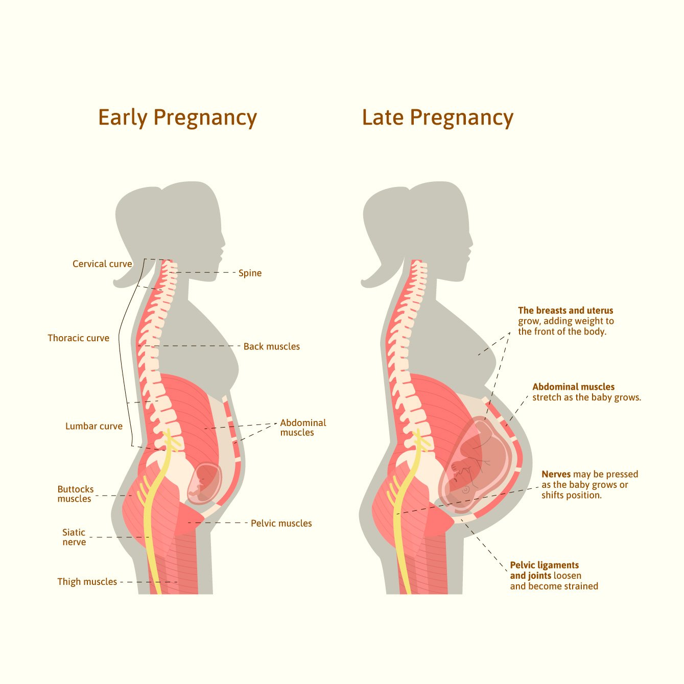 You are currently viewing Pregnancy Changes: From Bump to Baby Bliss